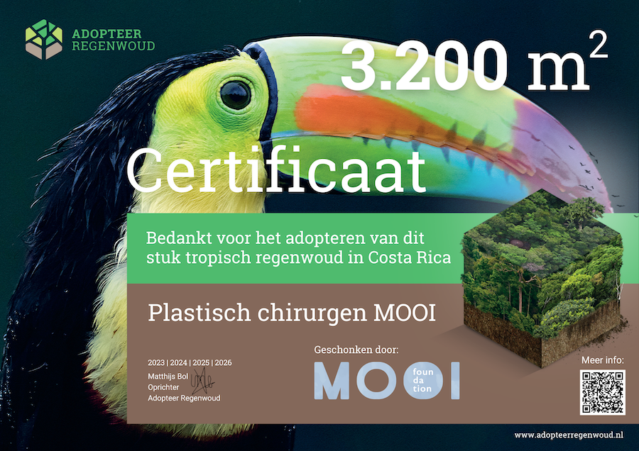 Certificaat Adopteer Regenwoud 2026 – MOOI Certificaat Adopteer Regenwoud 2026 - MOOI
